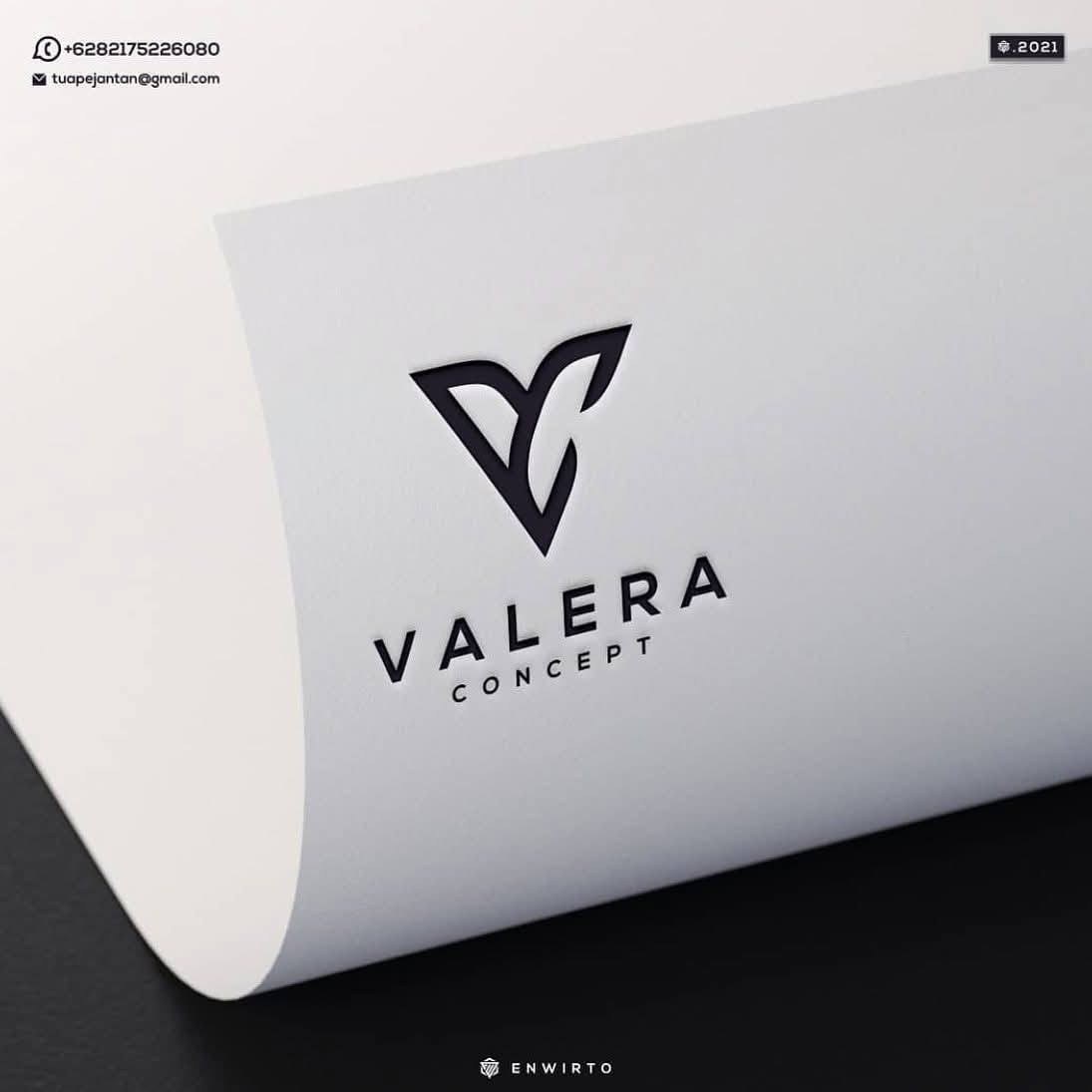 Professional Logo Design
