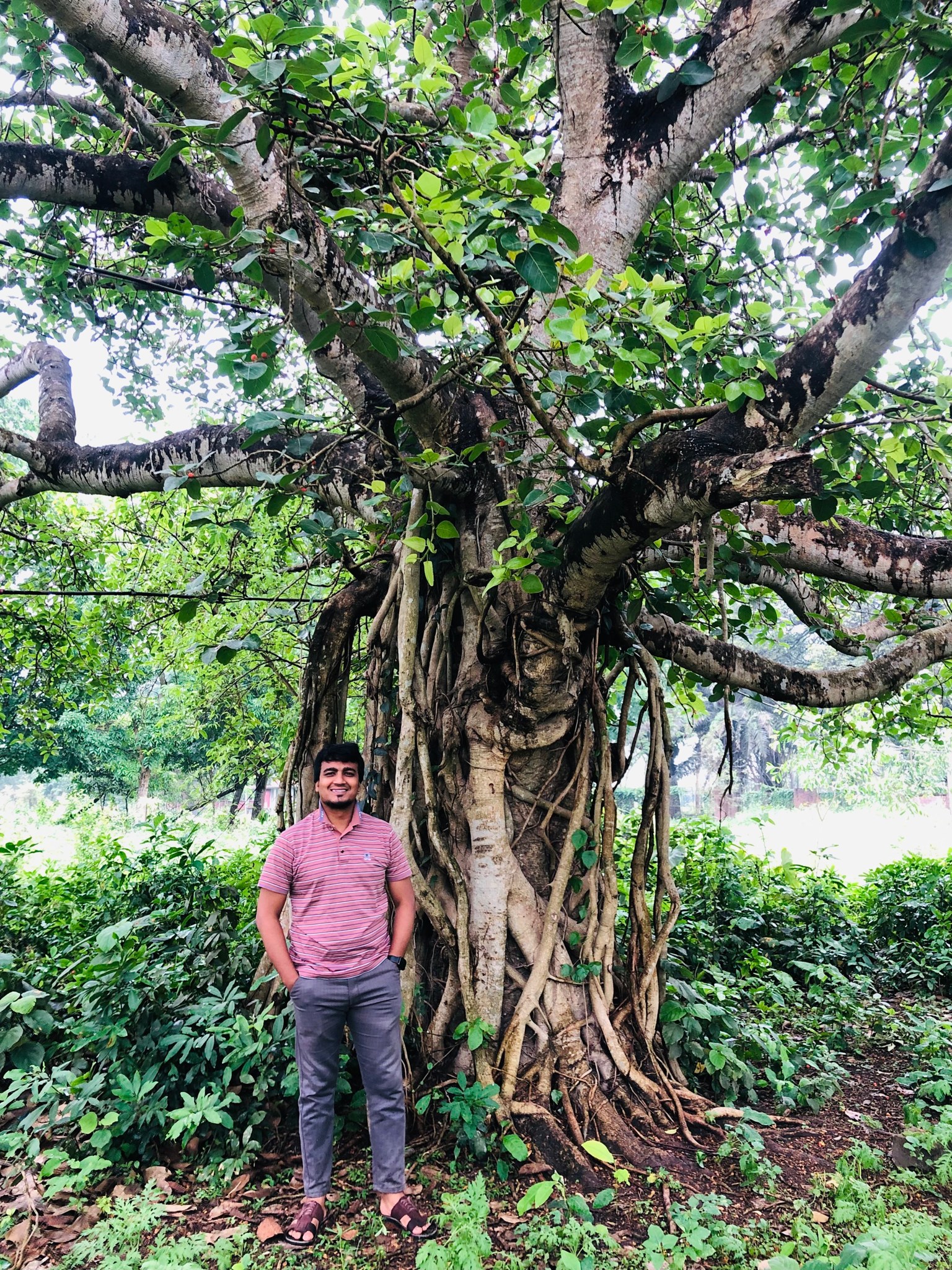Md Hifjul Hossain Hiro